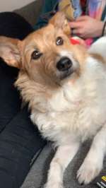 Suchmeldung-Bucki-Bild