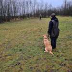 Ersteller:in Barbara María Profilbild