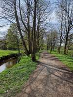 Hundeauslaufgebiet-An der Schönebecker Aue-Bild