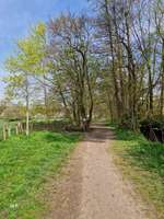 Hundeauslaufgebiet-An der Schönebecker Aue-Bild