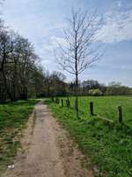 Hundeauslaufgebiet-An der Schönebecker Aue-Bild