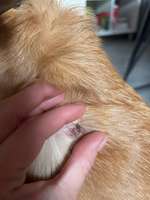 Was ist das ?-Beitrag-Bild