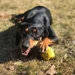 Ersteller:in Laura Profilbild