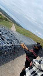 Hundeauslaufgebiet-Halde Großes Holz-Bild