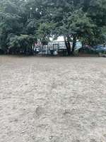 Hundeauslaufgebiet-Modersohnstraße/Revaler Straße-Bild