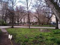 Hundeauslaufgebiet-Fritz-Schiff-Weg/Weidenweg 
Am ehemaligen Kino Kosmos-Bild