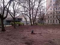 Hundeauslaufgebiet-Fritz-Schiff-Weg/Weidenweg 
Am ehemaligen Kino Kosmos-Bild