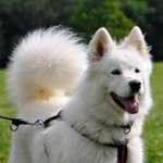 Ersteller:in Jasmin und Paul Profilbild