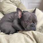 Ersteller:in Lilly Profilbild