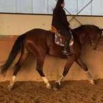 Ersteller:in Bettina Profilbild