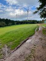 Hundeauslaufgebiet-Langenhard Freizeithof / Rundweg-Bild