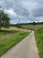 Hundeauslaufgebiet-Galgenberg Lahr / Sulz-Bild