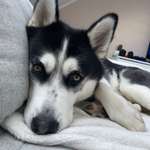 Ersteller:in Sarah Profilbild