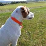 Ersteller:in Alexandra Profilbild