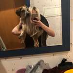 Ersteller:in Jovana Profilbild