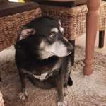 Ersteller:in anja Profilbild