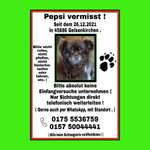 Suchmeldung-Pepsi-Bild