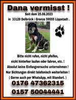 Suchmeldung-Dana-Bild