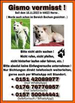 Suchmeldung-Gismo-Bild