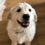 Ersteller:in Leonie Profilbild