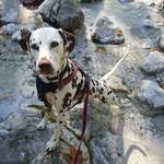 Ersteller:in Franziska Profilbild