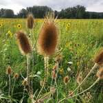 Ersteller:in Dany Profilbild