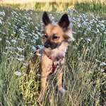 Ersteller:in Renate Profilbild