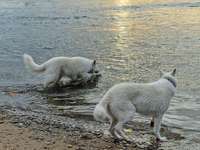 Eure schönsten Fotos mit Wasser-Beitrag-Bild