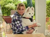 85. Foto Challenge : Schosshund-Beitrag-Bild