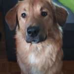 Ersteller:in Arthur Profilbild