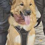 Ersteller:in Arthur Profilbild