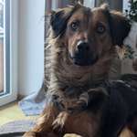 Ersteller:in Tine Profilbild