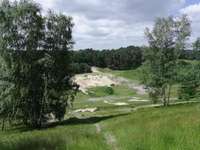 Hundeauslaufgebiet-Neugraben-Bild