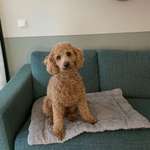 Ersteller:in Elena Profilbild