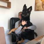 Ersteller:in Talika Profilbild