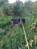 Tipps zur Gewichtsabnahme?-Beitrag-Bild