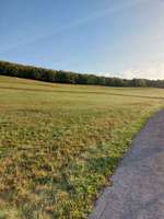 Hundeauslaufgebiet-Oechelhausen-Bild