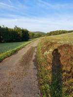 Hundeauslaufgebiet-Oechelhausen-Bild