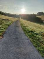 Hundeauslaufgebiet-Oechelhausen-Bild