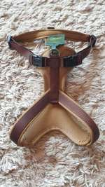 Hunter Hundgeschirr-Beitrag-Bild