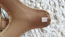 Hunter Hundgeschirr-Beitrag-Bild