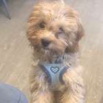 Ersteller:in Sarah Profilbild