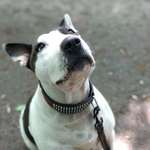 Ersteller:in Motte Profilbild