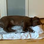 Ersteller:in Kerstin Profilbild