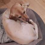 Ersteller:in Ralf Profilbild