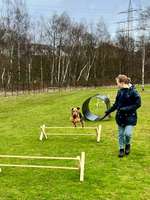 Gibt es noch andere Airedales?:)-Beitrag-Bild