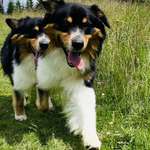 Ersteller:in Robert Profilbild