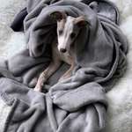 Ersteller:in Conny Profilbild