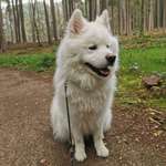 Ersteller:in Anna Profilbild