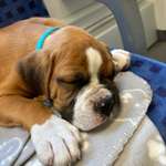 Ersteller:in Kleiner Profilbild